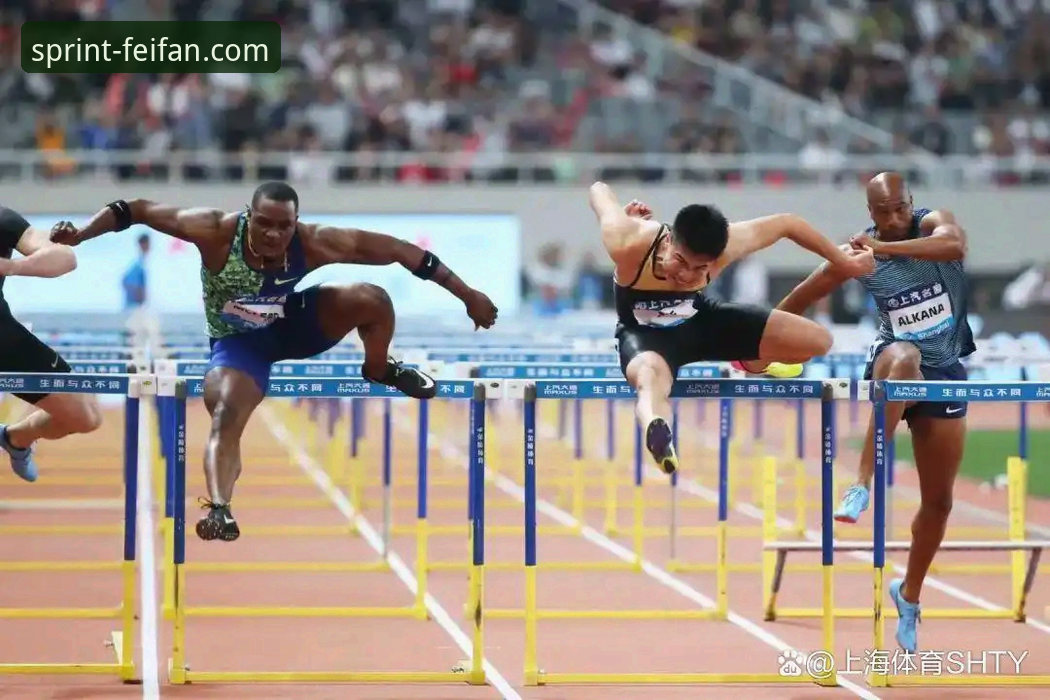 非凡体育平台：3大维度深度对比官网最新版本v2.1.3